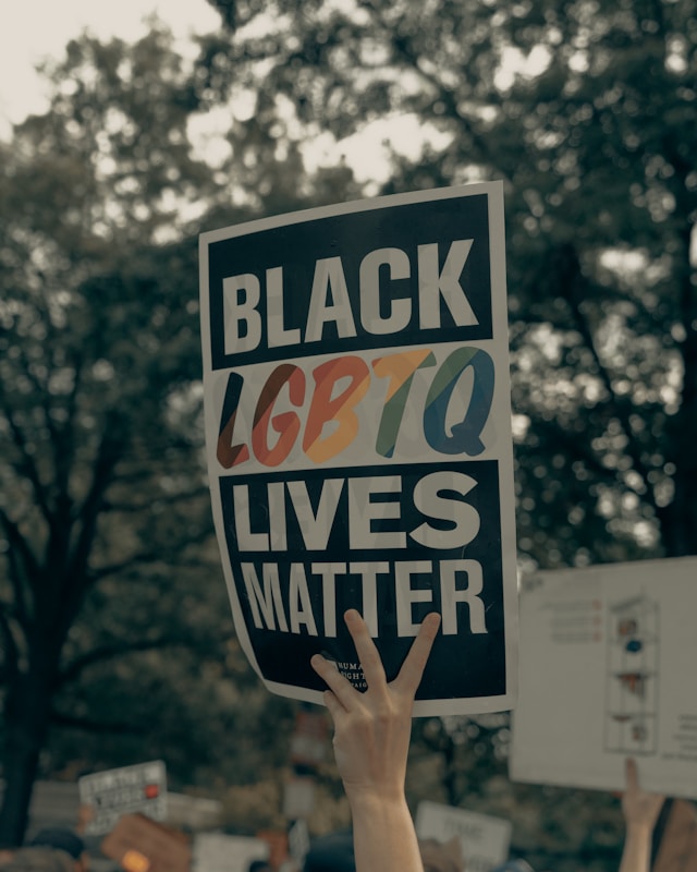 Black lgbtq lives matter sign at a protest